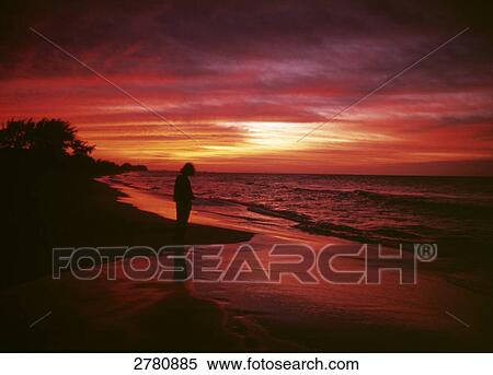 Silhouette of person standing on beach at dawn, Matanzas, Cuba View Large Photo Image Stock Photography - Silhouette of person standing on beach at dawn, Matanzas, Cuba . Fotosearch