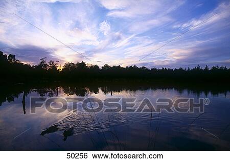Silhouette of trees at lakeside, Lueneburger Heide, Germany View Large Photo Image Stock Photograph - Silhouette of trees at lakeside, Lueneburger Heide, Germany . Fotosearch