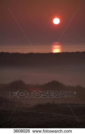 Sunrise above Texel, Netherlands View Large Photo Image Stock Photograph - Sunrise above Texel, Netherlands . Fotosearch