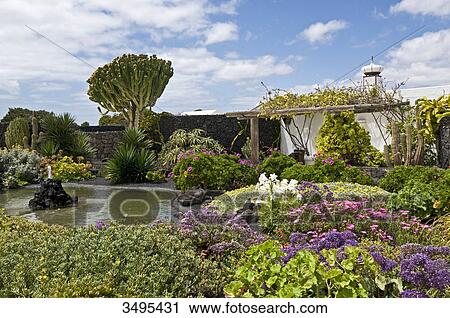 Taro de Tahiche, Fundacion Cesar Manrique, Lanzarote, Canary Islands, Spain, Europe View Large Photo Image Stock Image - Taro de Tahiche, Fundacion Cesar Manrique, Lanzarote, Canary Islands, Spain, Europe . Fotosearch