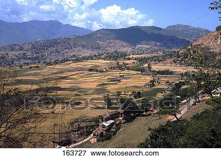 Terraced fields with mountain range in background, Himalayas, Nepal View Large Photo Image Stock Photo - Terraced fields with mountain range in background, Himalayas, Nepal . Fotosearch