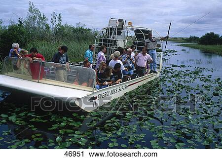 Tourists in airboat in swamp, Everglades National Park, Florida, USA View Large Photo Image Stock Image - Tourists in airboat in swamp, Everglades National Park, Florida, USA . Fotosearch