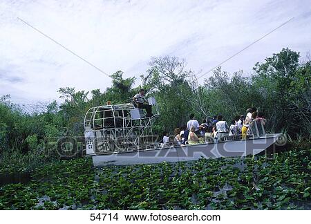 Picture - Tourists on airboat in swampy area, Everglades, Florida, USA . Fotosearch