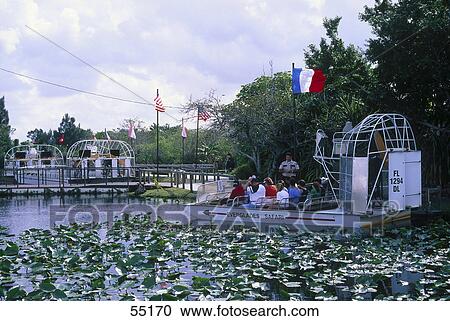 Stock Image - Tourists on airboat in swampy area, Everglades, Florida, USA . Fotosearch