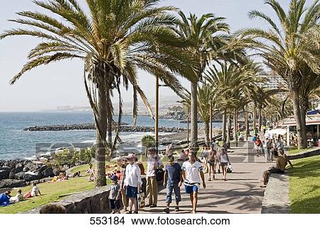 Picture - Tourists walking near palm trees on beach, Playa De Las Americas, Tenerife, Canary Islands, Spain . Fotosearch