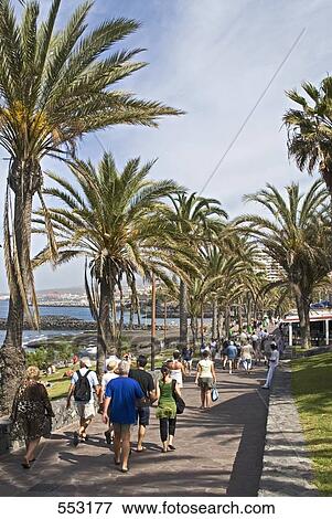 Tourists walking near palm trees on beach, Playa De Las Americas, Tenerife, Canary Islands, Spain View Large Photo Image Stock Photo - Tourists walking near palm trees on beach, Playa De Las Americas, Tenerife, Canary Islands, Spain . Fotosearch