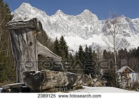 Trees in front of mountain, Dachstein Mountains, Filzmoos, St. Johann im Pongau, Salzburg, Austria View Large Photo Image Stock Photography - Trees in front of mountain, Dachstein Mountains, Filzmoos, St. Johann im Pongau, Salzburg, Austria . Fotosearch