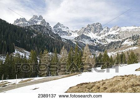 Trees in front of mountain, Filzmoos, St. Johann im Pongau, Salzburg, Austria View Large Photo Image Stock Photo - Trees in front of mountain, Filzmoos, St. Johann im Pongau, Salzburg, Austria . Fotosearch