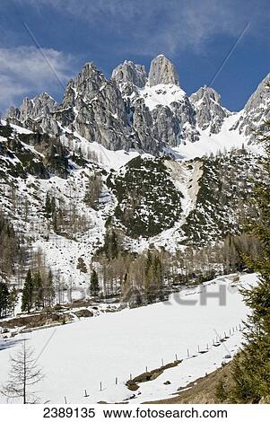 Trees in front of mountain, Filzmoos, St. Johann im Pongau, Salzburg, Austria View Large Photo Image Stock Photography - Trees in front of mountain, Filzmoos, St. Johann im Pongau, Salzburg, Austria . Fotosearch