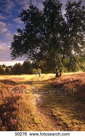 Stock Photograph - Two people on rural landscape, Lueneburger Heide, Germany . Fotosearch