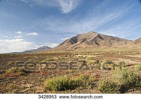 Volcanic landscape, Lanzarote, Spain View Large Photo Image Stock Image - Volcanic landscape, Lanzarote, Spain . Fotosearch