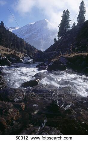 Stock Image - Water flowing in creek, Stilfserjoch National Park, Alto Adige, Italy . Fotosearch
