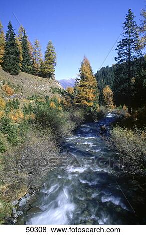 Stock Photo - Water flowing in creek, Stilfserjoch National Park, Alto Adige, Italy . Fotosearch