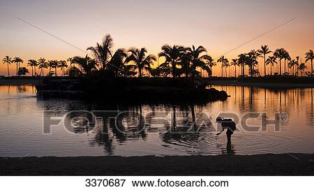 Woman standing in water at sunset, Waikiki Beach, Honolulu, USA View Large Photo Image Stock Photo - Woman standing in water at sunset, Waikiki Beach, Honolulu, USA . Fotosearch
