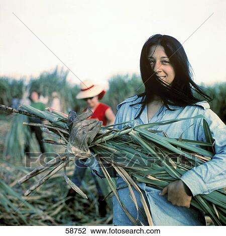Stock Image - Young woman holding cut crop of sugarcane, Matanzas, Cuba . Fotosearch