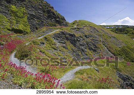 Aberystwyth, Ceredigion, Wales, UK View Large Photo Image Picture - Aberystwyth, Ceredigion, Wales, UK . Fotosearch