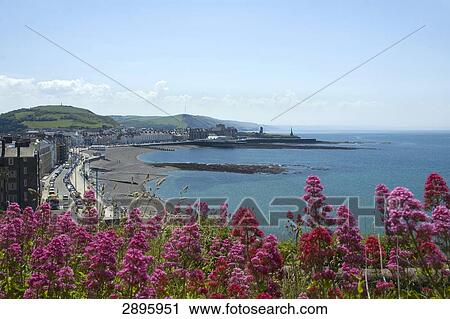 Aberystwyth, Ceredigion, Wales, UK View Large Photo Image Stock Image - Aberystwyth, Ceredigion, Wales, UK . Fotosearch