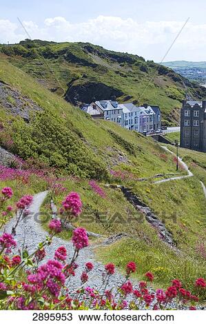 Stock Image - Aberystwyth, Ceredigion, Wales, UK . Fotosearch