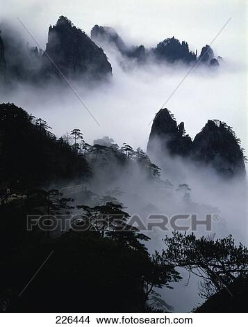 Picture - Aerial view of foggy forest, Anhui, China . Fotosearch