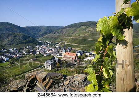 Aerial view of houses and church in village, Mayschoss, Ahrweiler, Eifel, Rhineland-Palatinate, Germany View Large Photo Image Picture - Aerial view of houses and church in village, Mayschoss, Ahrweiler, Eifel, Rhineland-Palatinate, Germany . Fotosearch