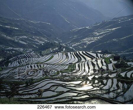 Stock Photo - Aerial view of rice terraces, China . Fotosearch
