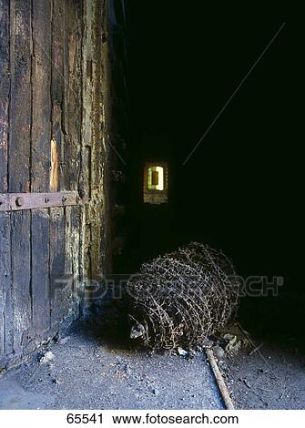Stock Image - Barbed wire roll at open door . Fotosearch