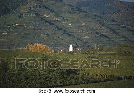 Stock Photo - Bell tower in a vineyard, Germany . Fotosearch