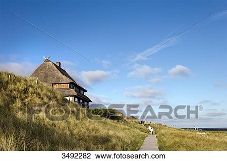 Boardwalk on the dunes near Wittduen, Amrum, Schleswig-Holstein, Germany View Large Photo Image Stock Image - Boardwalk on the dunes near Wittduen, Amrum, Schleswig-Holstein, Germany . Fotosearch