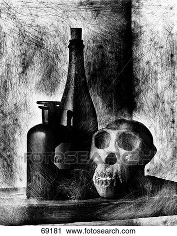 Bottles of wine and skull View Large Photo Image Stock Image - Bottles of wine and skull . Fotosearch