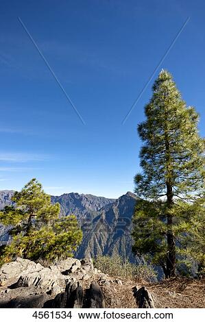 Picture - Caldera de Taburiente, La Palma, Canary Islands, Spain . Fotosearch