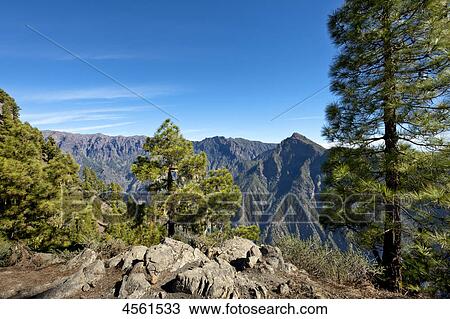 Caldera de Taburiente, La Palma, Canary Islands, Spain View Large Photo Image Stock Image - Caldera de Taburiente, La Palma, Canary Islands, Spain . Fotosearch