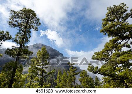 Caldera de Taburiente, La Palma, Canary Islands, Spain View Large Photo Image Stock Photo - Caldera de Taburiente, La Palma, Canary Islands, Spain . Fotosearch