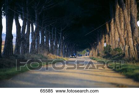 Stock Photography - Car traveling on countryroad, Maremma, Tuscany, Italy . Fotosearch