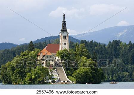 Stock Photograph - Church at lakeside, Lake Bled, Gorenjska, Balkan Peninsula, Carniola, Slovenia . Fotosearch