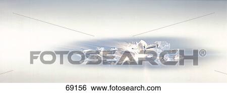 Stock Photograph - Close-up of broken stem glass . Fotosearch