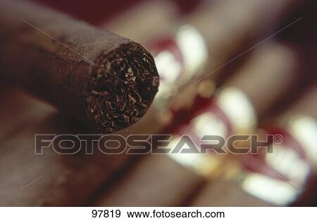 Close-up of cigars View Large Photo Image Stock Photo - Close-up of cigars . Fotosearch