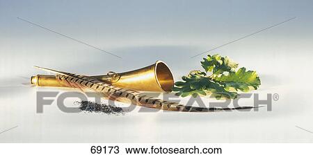 Stock Image - Close-up of feather and oak leaf with bugle . Fotosearch