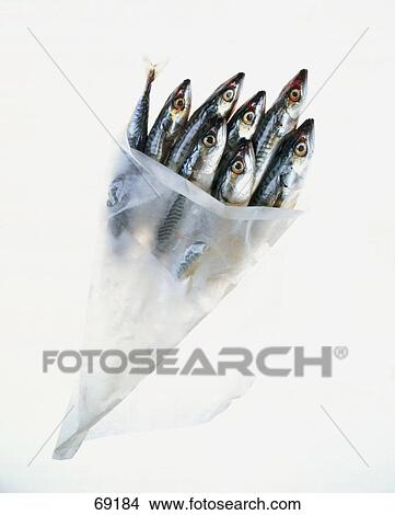 Close-up of fish in paper cone View Large Photo Image Picture - Close-up of fish in paper cone . Fotosearch