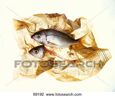 Stock Image - Close-up of fish on packaging newspaper Close-up of fish on packaging newspaper . Fotosearch