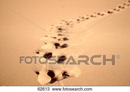Close-up of footprints on sand View Large Photo Image Stock Image - Close-up of footprints on sand . Fotosearch
