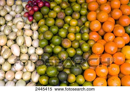 Close-up of fruits at market, Malaysia View Large Photo Image Stock Photography - Close-up of fruits at market, Malaysia . Fotosearch