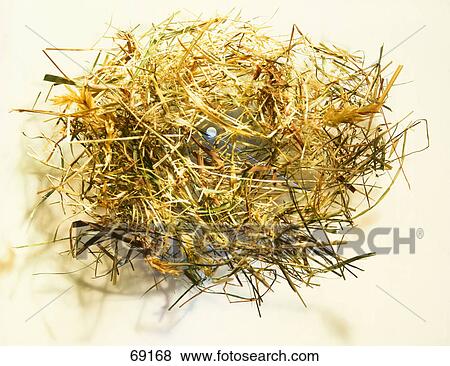 Stock Photo - Close-up of needle in haystack . Fotosearch