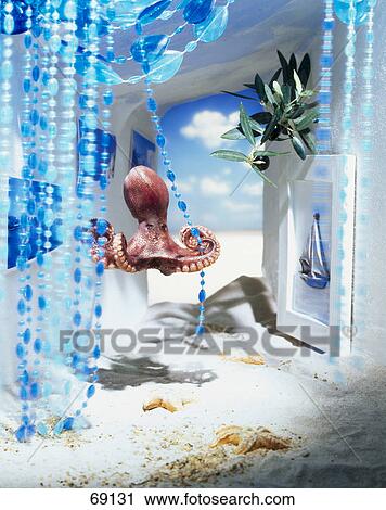 Stock Image - Close-up of octopus . Fotosearch