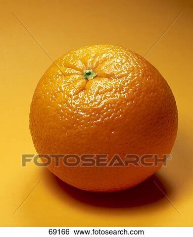 Close-up of orange View Large Photo Image Stock Photograph - Close-up of orange . Fotosearch