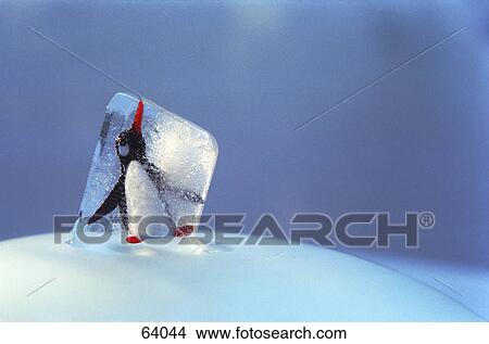 Close-up of penguin in ice cube View Large Photo Image Picture - Close-up of penguin in ice cube . Fotosearch