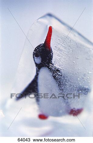 Close-up of penguin in ice cube View Large Photo Image Stock Image - Close-up of penguin in ice cube . Fotosearch