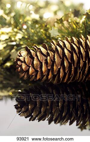 Close-up of pine cone View Large Photo Image Stock Image - Close-up of pine cone . Fotosearch