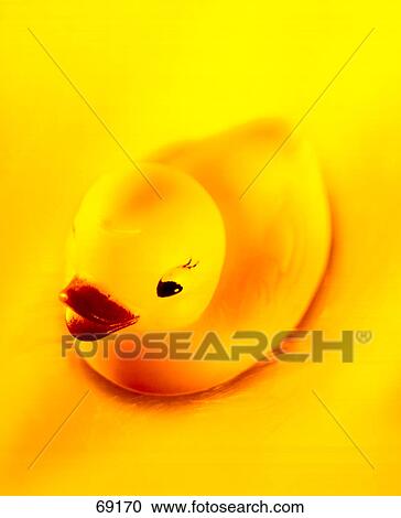 Stock Image - Close-up of rubber duck . Fotosearch