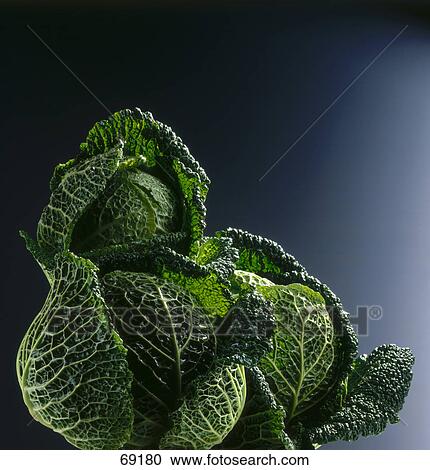 Stock Image - Close-up of Savoy cabbages . Fotosearch