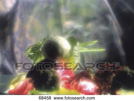 Close-up of vegetables View Large Photo Image Stock Photo - Close-up of vegetables . Fotosearch